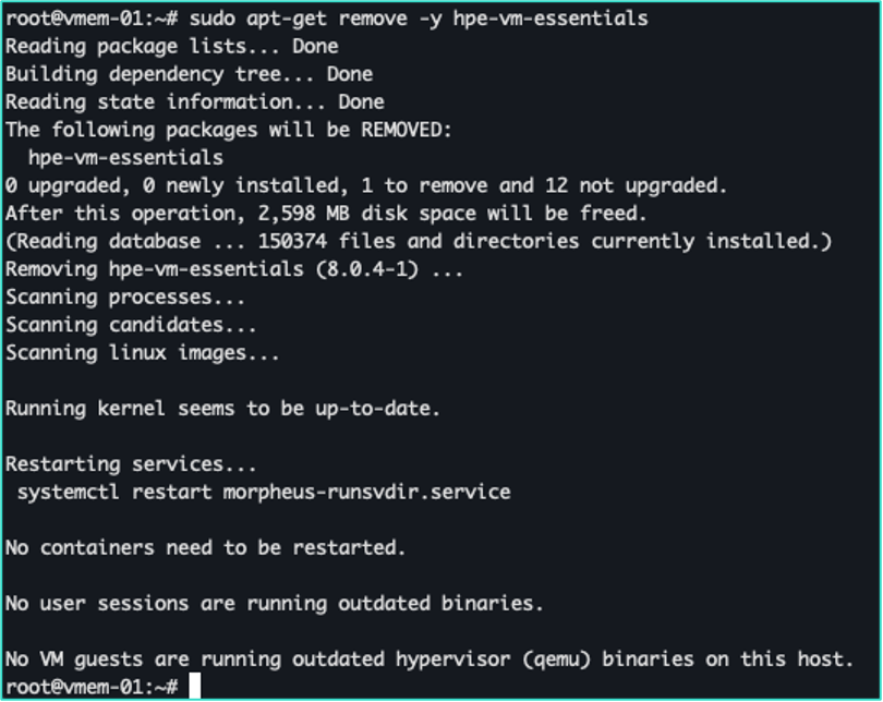 ../_images/upgradeRemoveVme.png